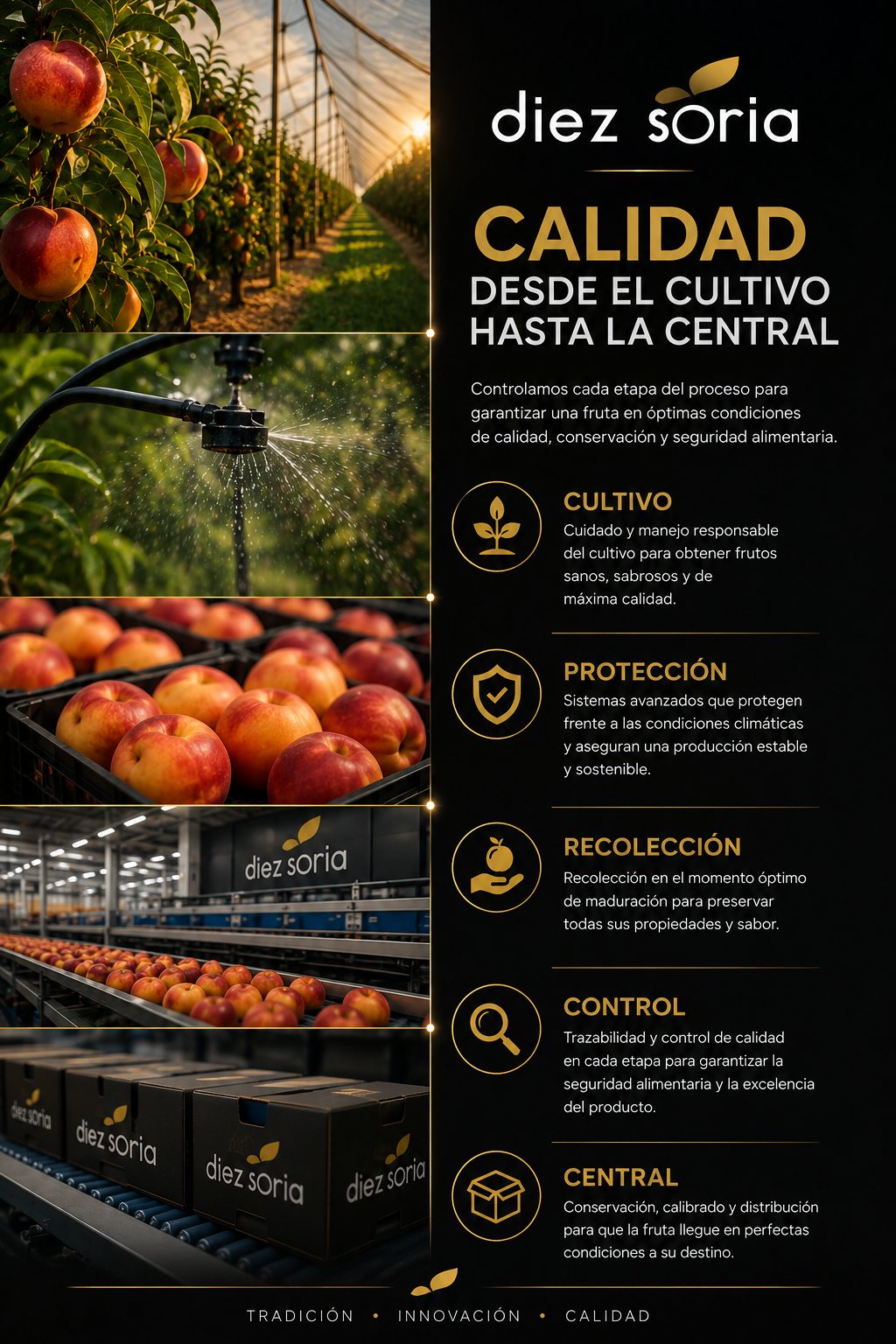 Innovación agrícola Díez Soria