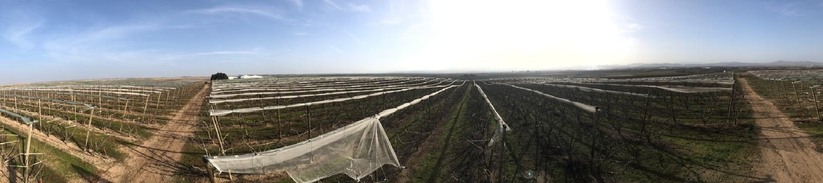 Finca La Loma